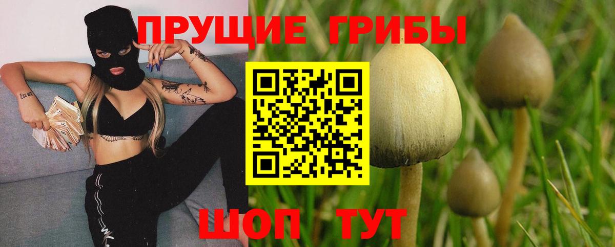 Псилоцибиновые грибы MAGIC MUSHROOMS Заволжье